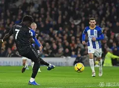 关于阿森纳英超击败曼联，厄德高建功的信息